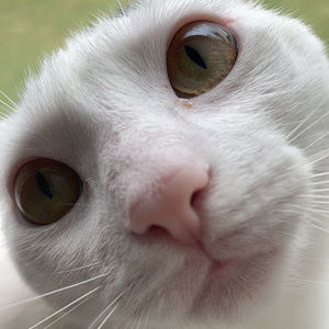 Meet your Posher, Meg